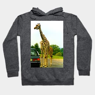 Giraffe Hoodie